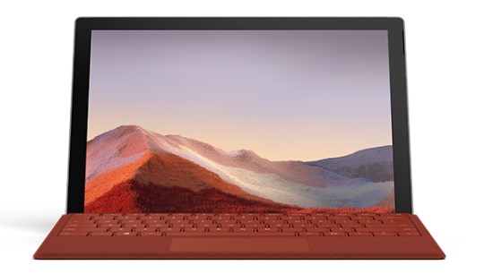 汪场镇清洁和维护 Surface